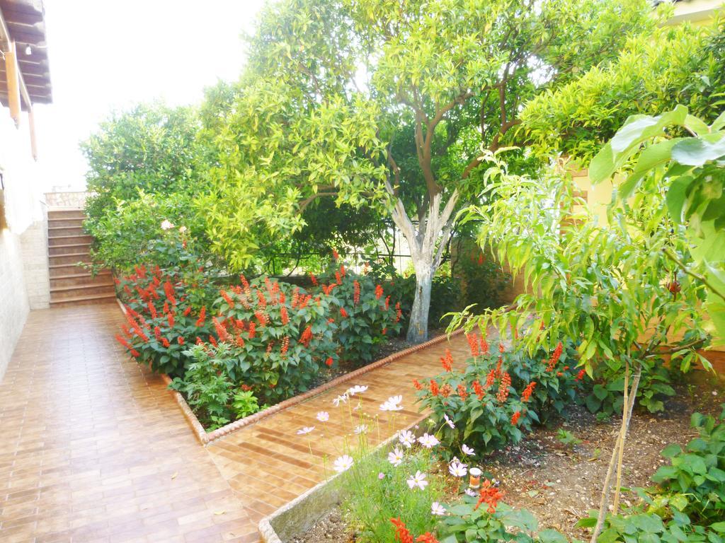 Vila Altini بورش المظهر الخارجي الصورة