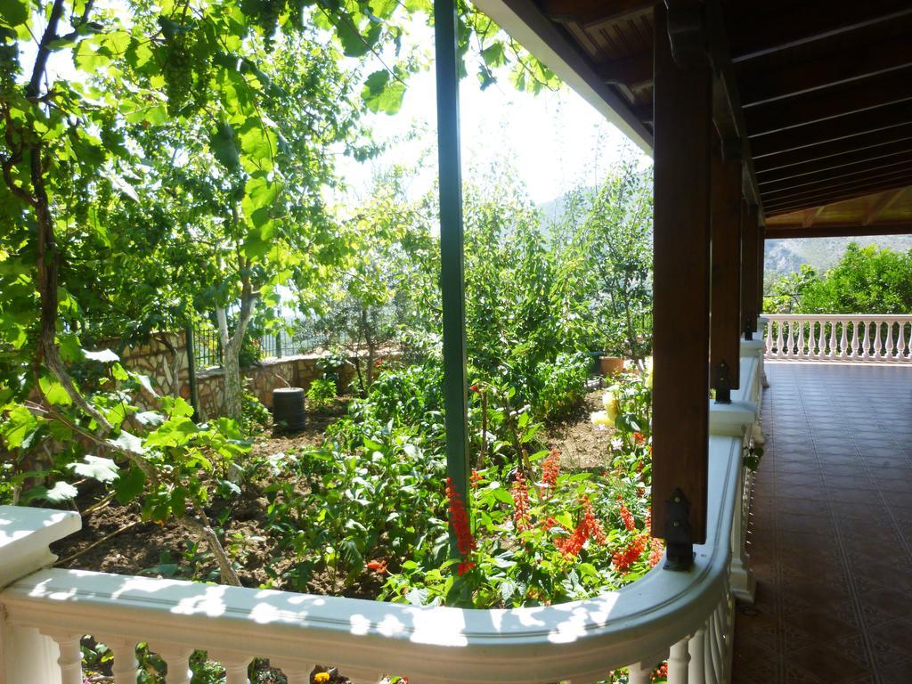 Vila Altini بورش المظهر الخارجي الصورة