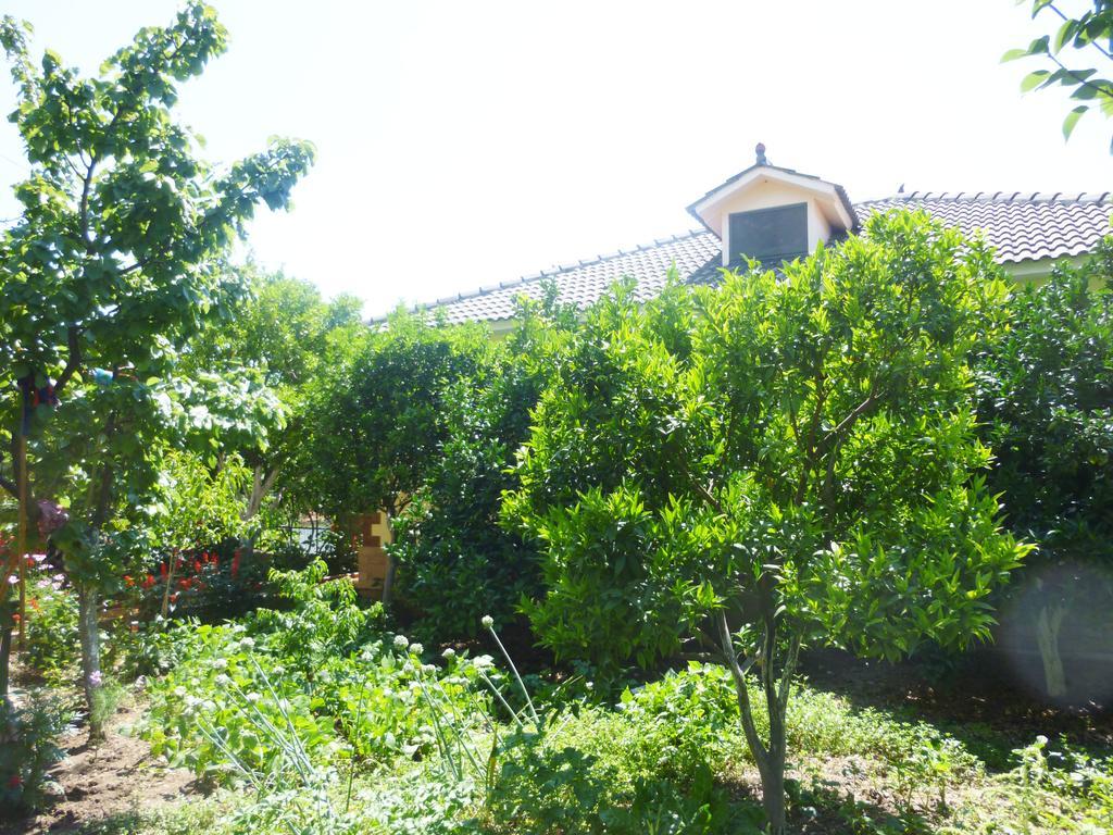 Vila Altini بورش المظهر الخارجي الصورة