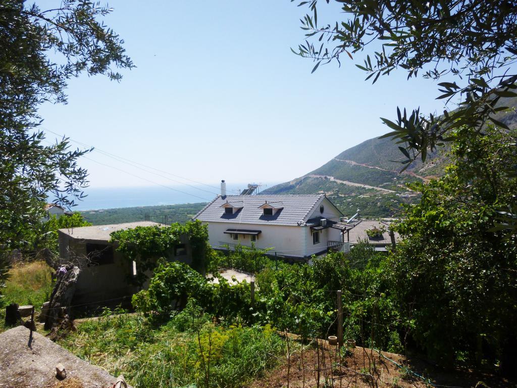 Vila Altini بورش المظهر الخارجي الصورة