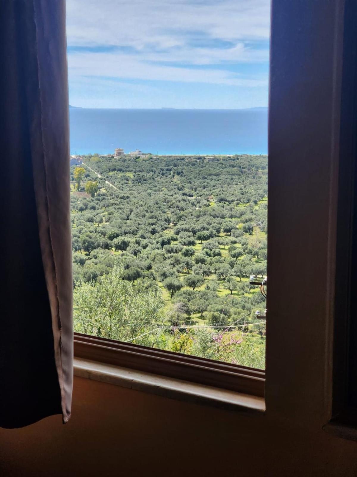 Vila Altini بورش المظهر الخارجي الصورة